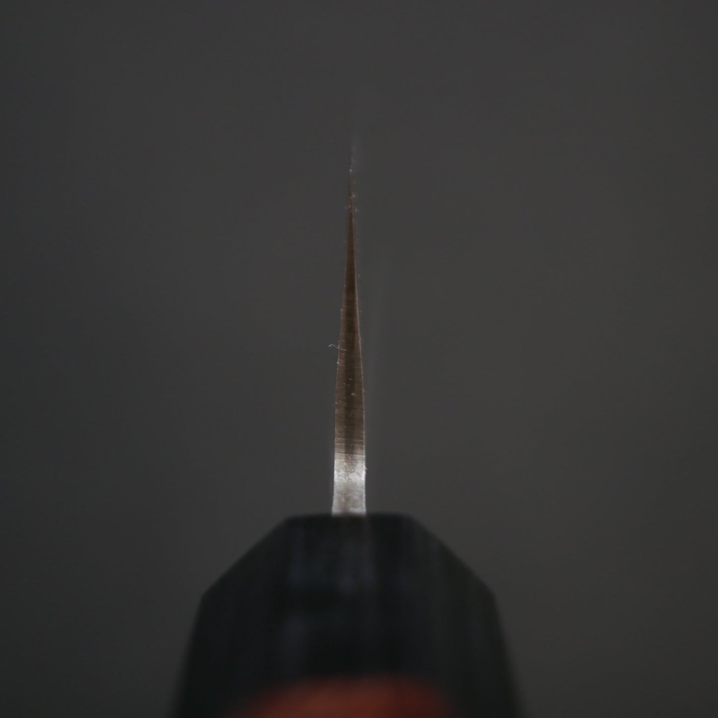 BlueSuper Carbon Steel StainlessClad Gyuto Rosewood Octagonal Handle