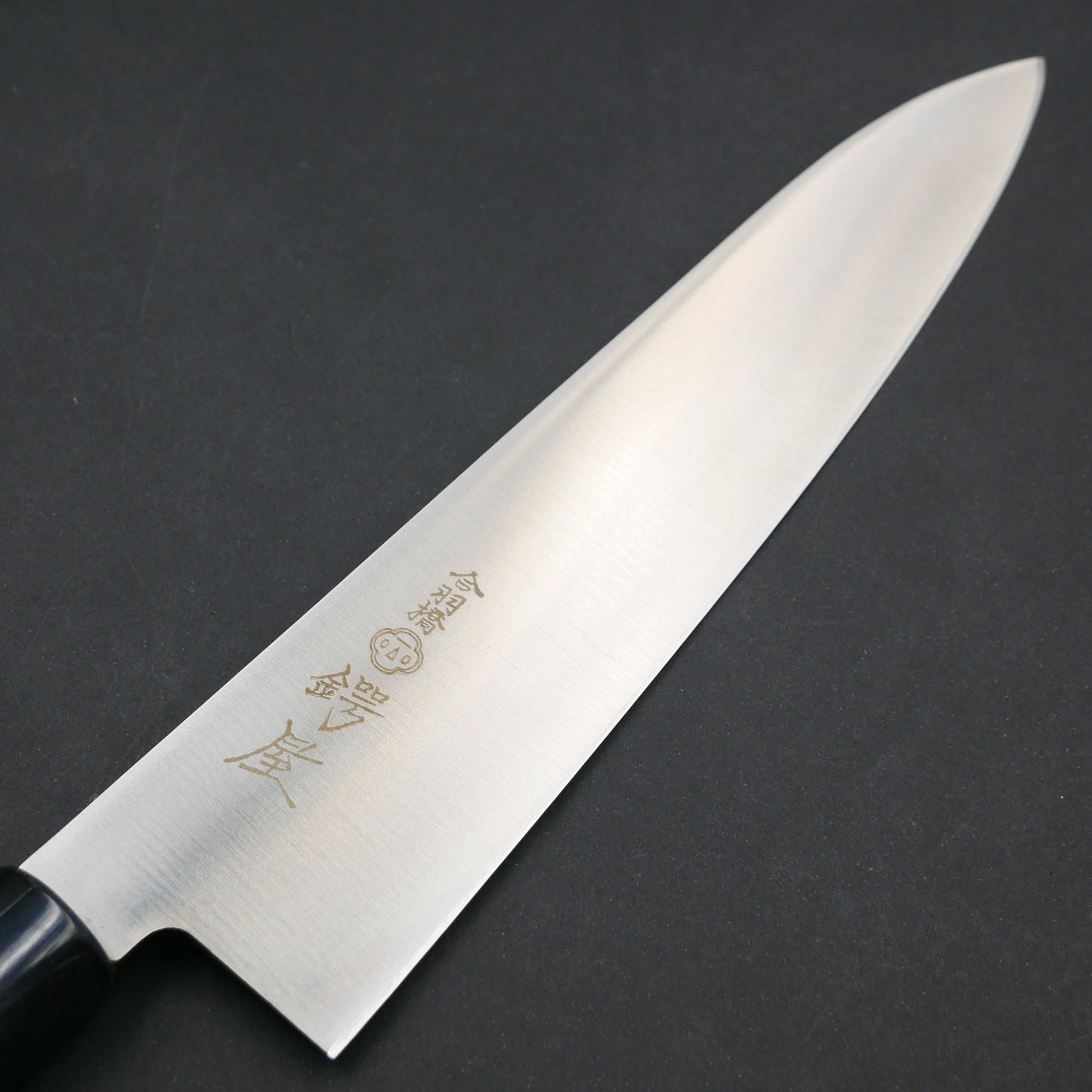 Molybdenum Steel Gyuto Magnolia Handle