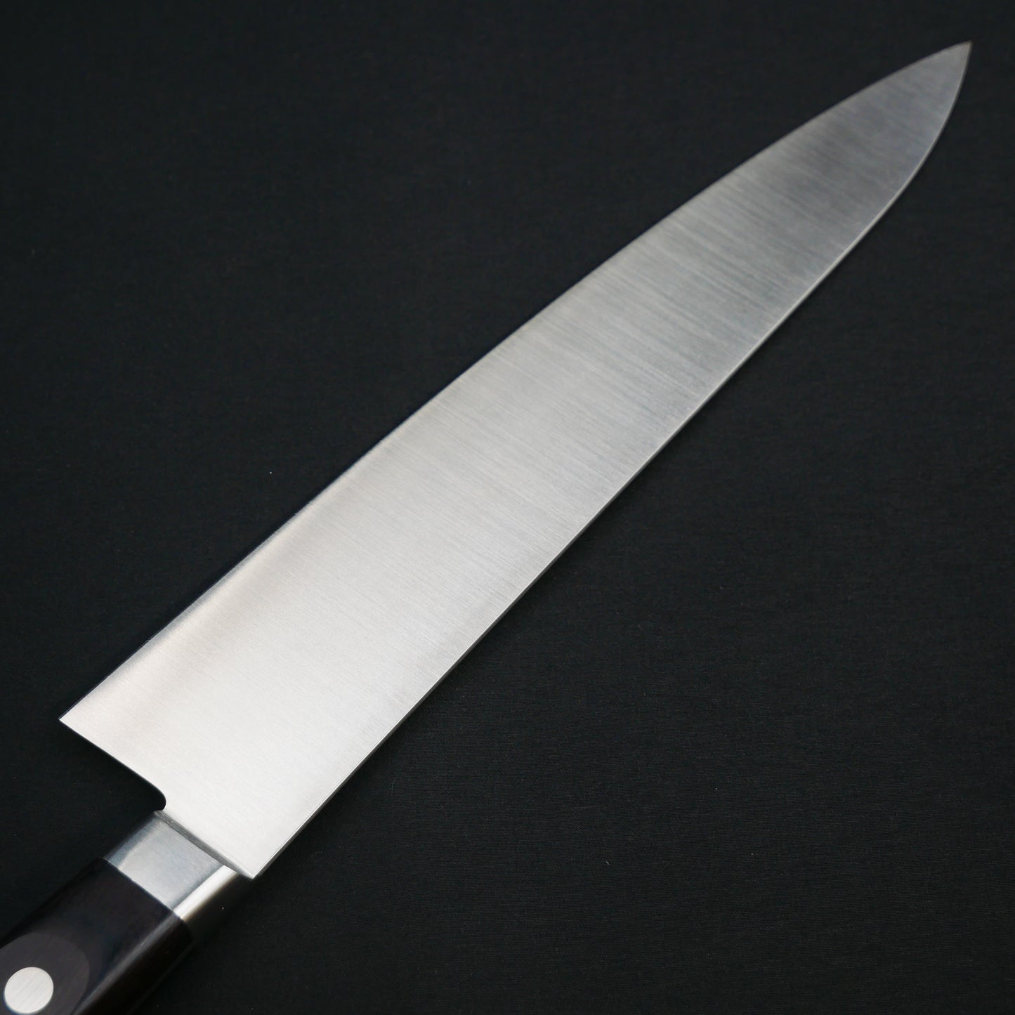 Honyaki INOX Gyuto (Thin Blade)