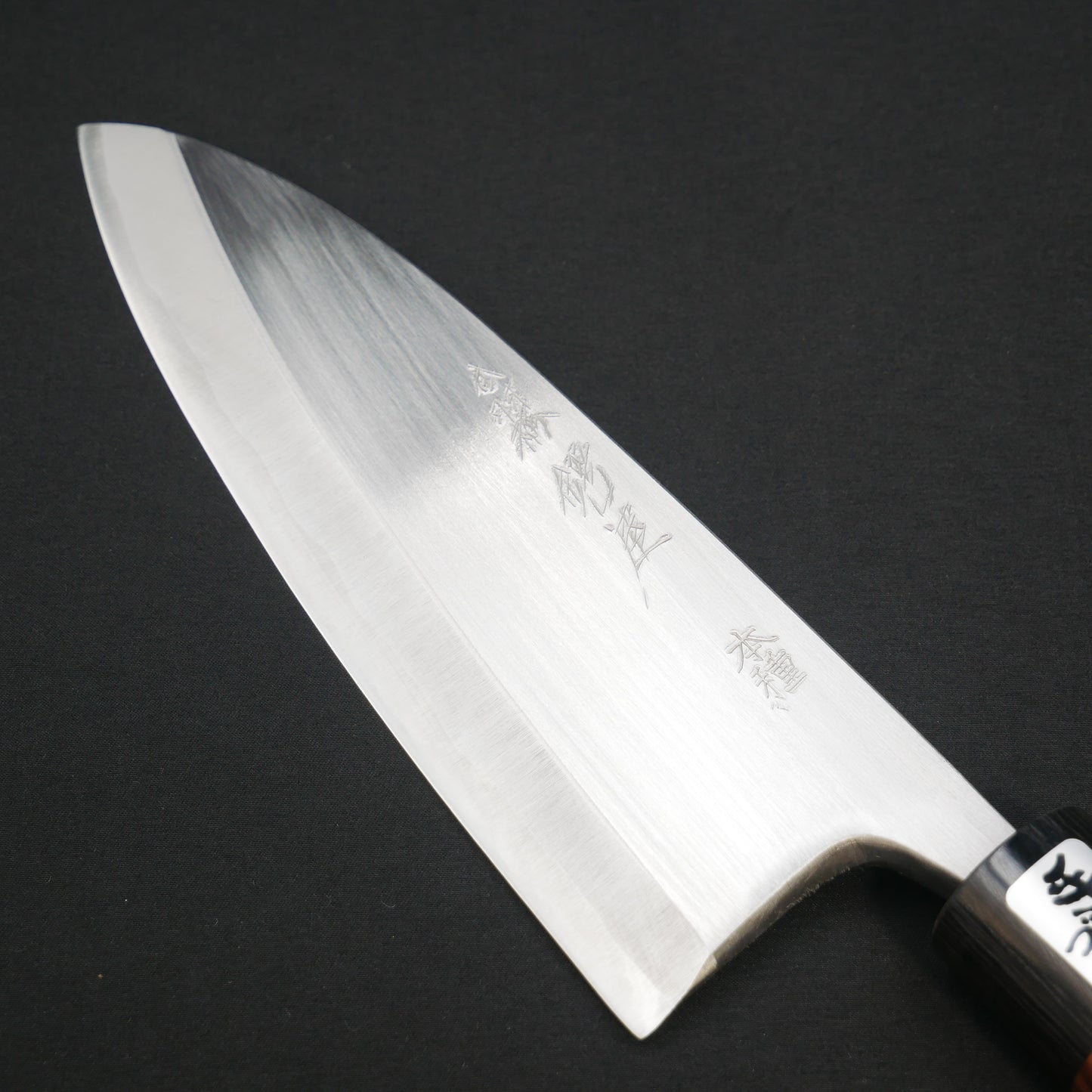 "Tanegashima" Blue#2 Carbon Steel Deba Rosewood Handle (For Left-Handed)