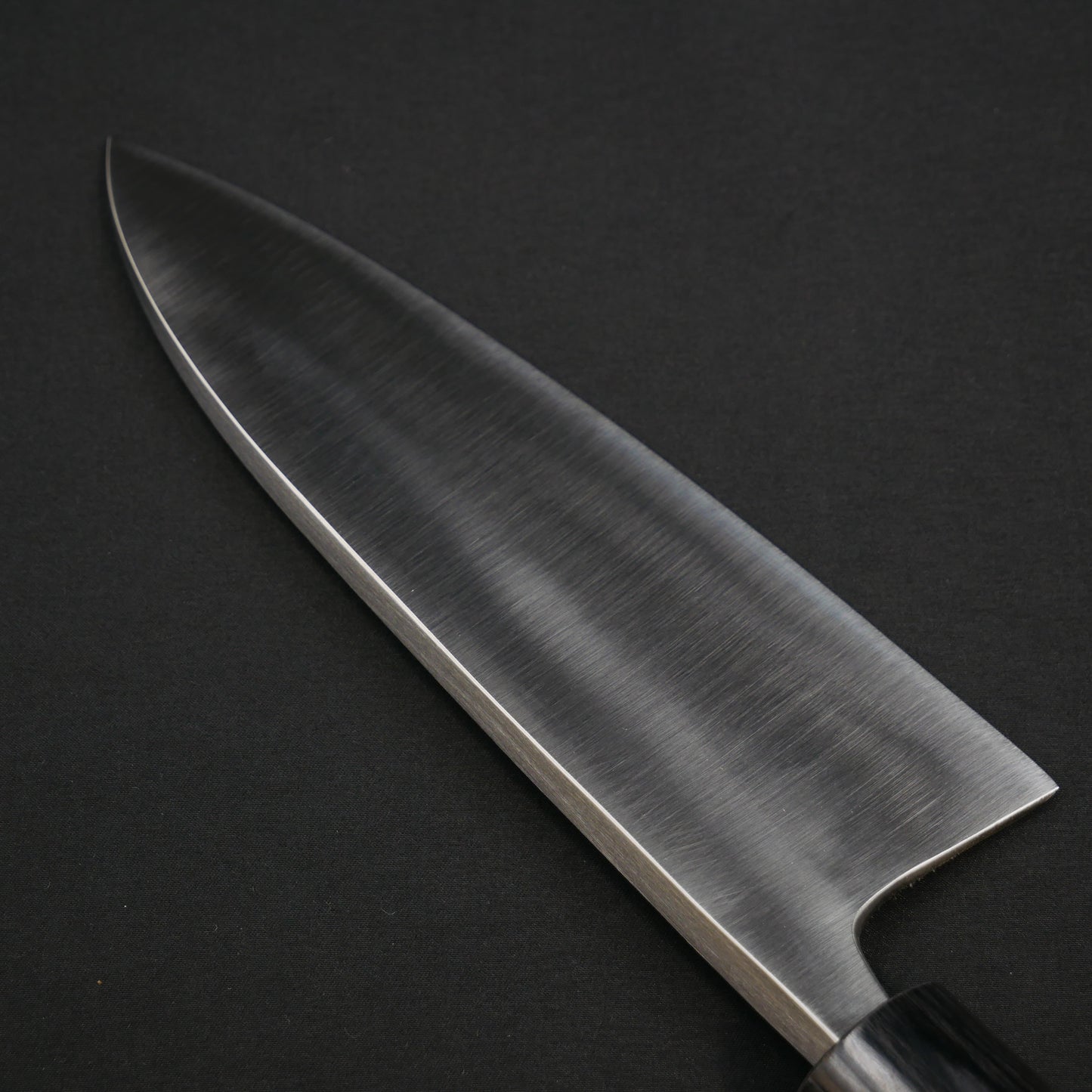 "Tanegashima" Blue#2 Carbon Steel Deba Rosewood Handle (For Left-Handed)