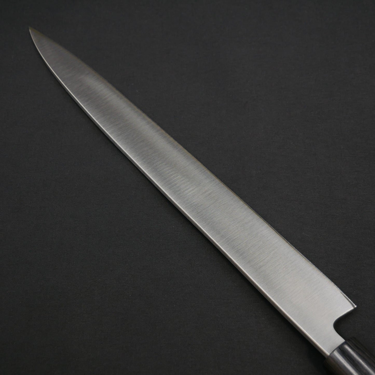 "Tanegashima" Blue#2 Carbon Steel Yanagiba Rosewood Handle (For Left-Handed)