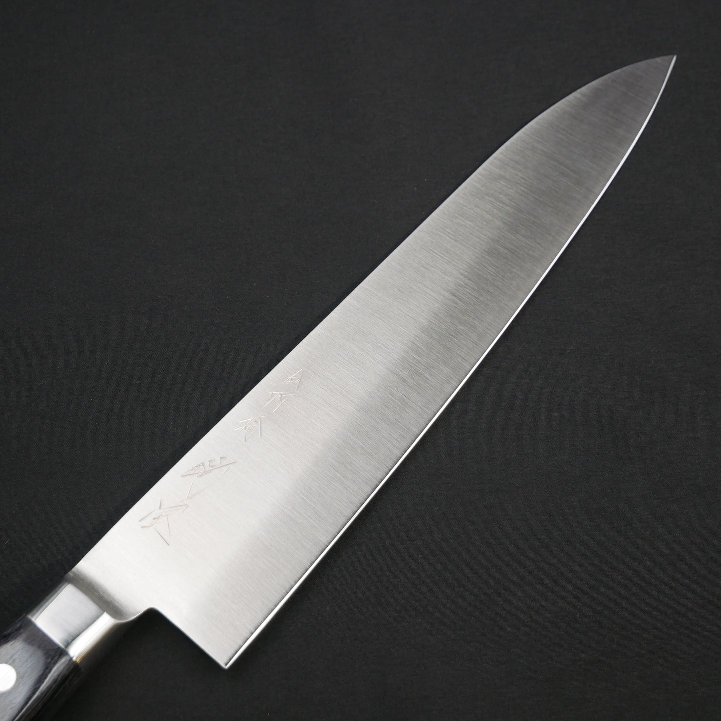 Molybdenum Steel Gyuto