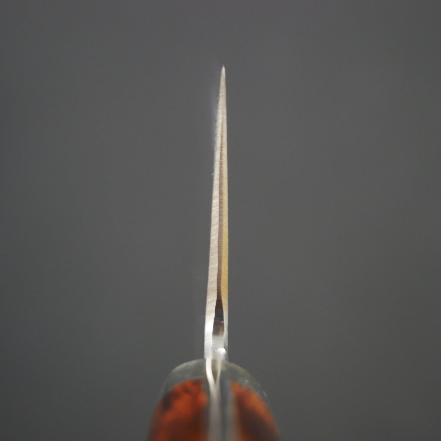 Tanaka Shigeki HSS Damascus Gyuto Ironwood Handle